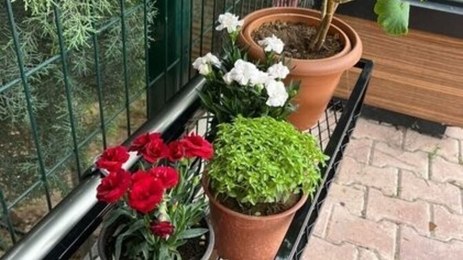Tatildeyken evcil hayvanını ya da  çiçeklerini emanet edeceğiniz bir yer var mı?