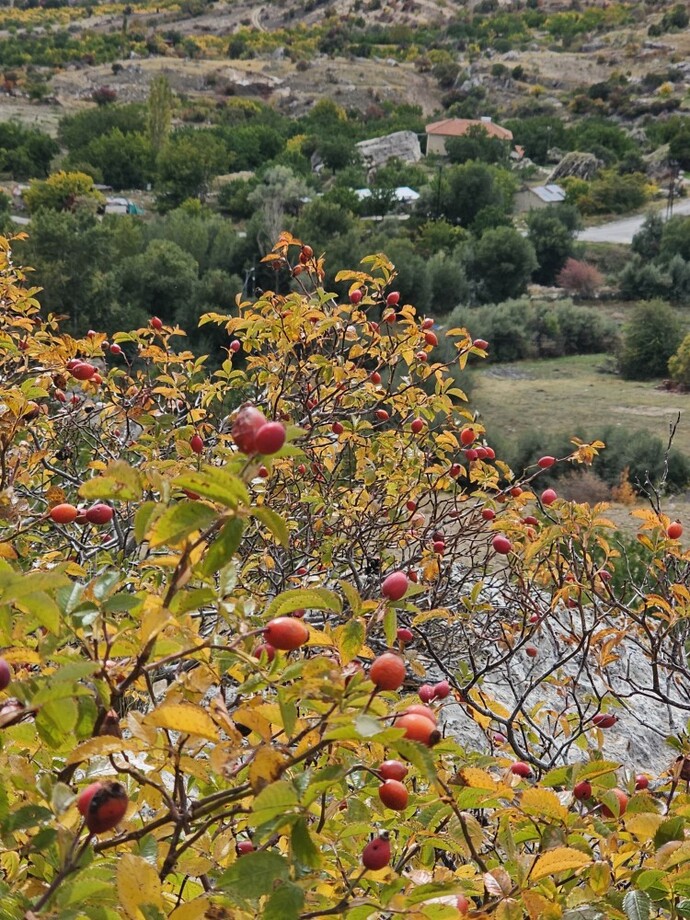 Gezmek için yorulmayı göze alır mısınız?