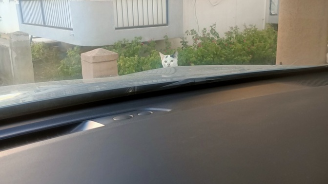 Sabah Sabah o neydi len moduna geçeceğiniz bir şey yaşadınız mi?