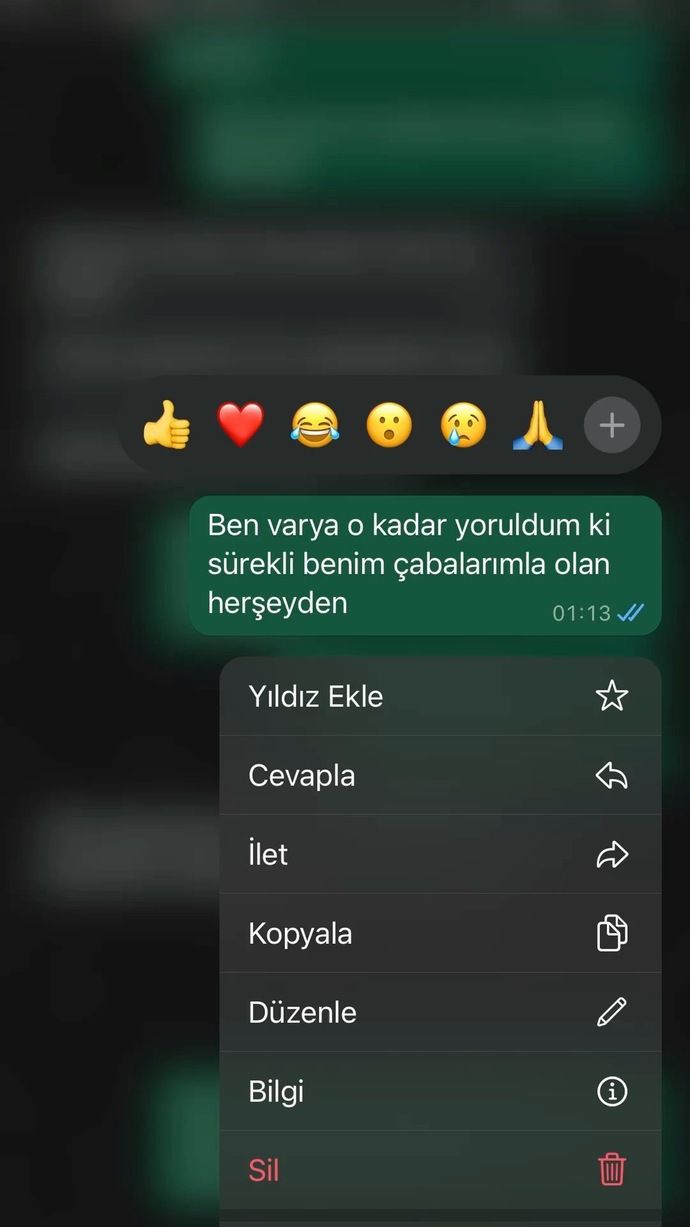 Bir mesaj tüm sevginizi bitirebilir mi?