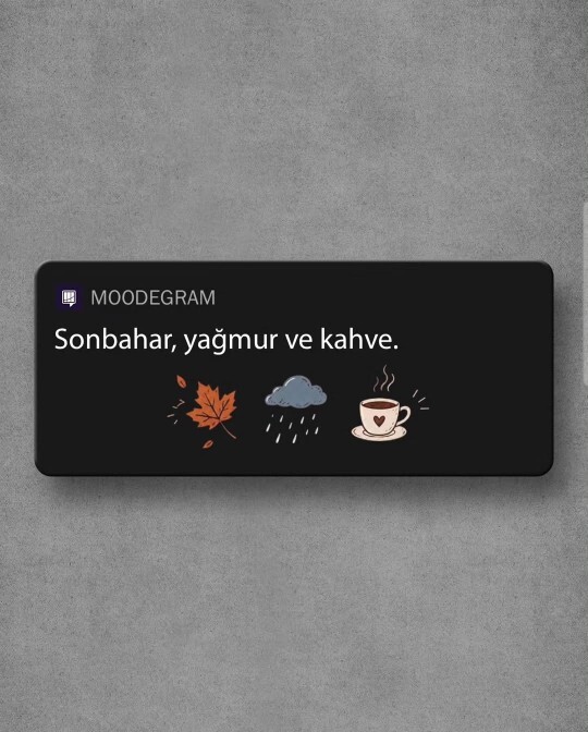 Bir erkeğin yaptığı hangi küçük davranış seni bir anda etkiler?