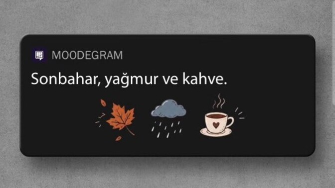 Bir erkeğin yaptığı hangi küçük davranış seni bir anda etkiler?
