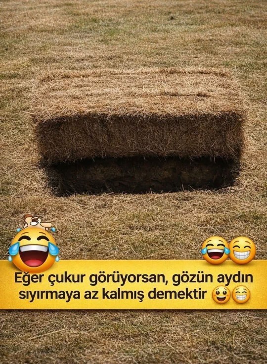 Bu görsele baktığınızda ilk olarak ne görüyorsunuz?
