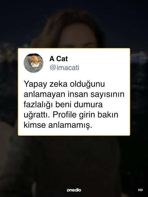 Yapay zekayla yorum yazıp, üzerine övgüleri kabul ediyor musunuz?