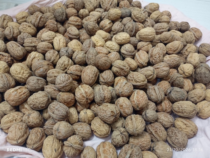 Bu kadar cevizi kırdınız mı hiç? ?
