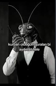 Gerçek divalar erkek kahrı çekmez, çocuk doğurmaz mı?