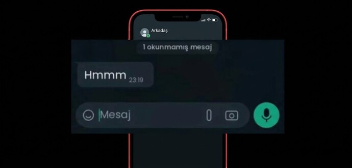 Bu mesaja cevap yazılır mı?