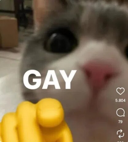 İnstagram'da şipşak atan erkekten olur mu?