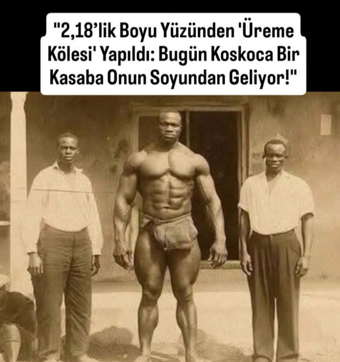 Boşa gitmesin mi dediler Altın yumurtlatan horoz mu?