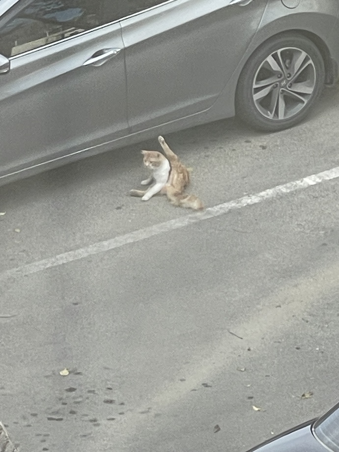 Akşama ne yediniz gününüz nasıldı bakalım minnoşlar?