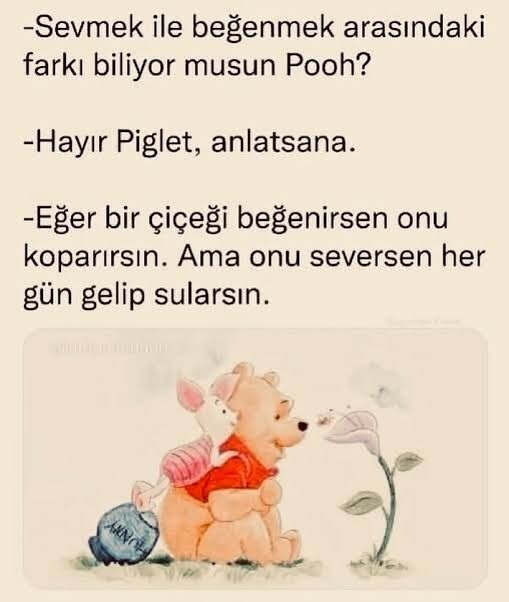 Doğum günümde herkese sadece bana kupa bardak alın dedim kimse almadığı için ben kendime aldım nasıllar jkğff?