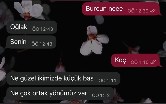 Ortak yönlerinizin olmadığı biriyle, sevgili olur musunuz?