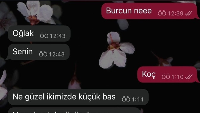 Ortak yönlerinizin olmadığı biriyle, sevgili olur musunuz?