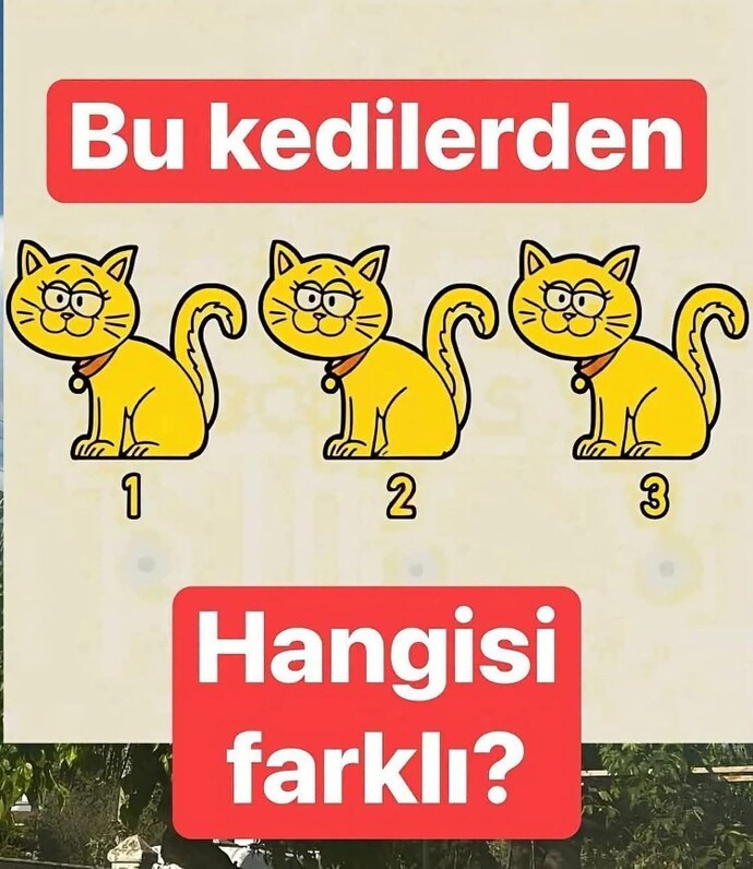 Bu kedi emojileri arasında farklı olanı bulabilecek misiniz?