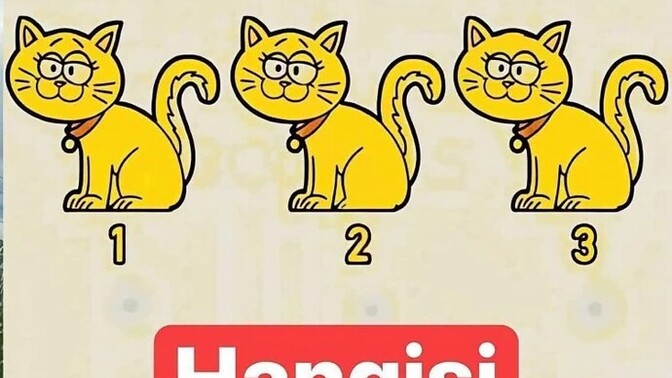 Bu kedi emojileri arasında farklı olanı bulabilecek misiniz?