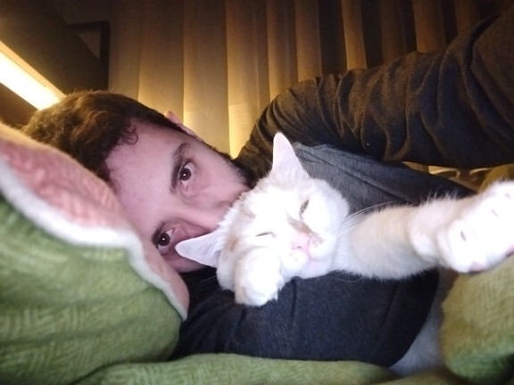 Kediyle selfie çekilme akımına katıldınız mı?