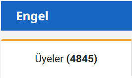 Sitedeki 4845 kızı red flag oldukları için engelledim. Hiç green flag kız yok mu bu sitede?