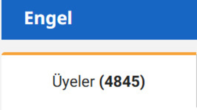 Sitedeki 4845 kızı red flag oldukları için engelledim. Hiç green flag kız yok mu bu sitede?