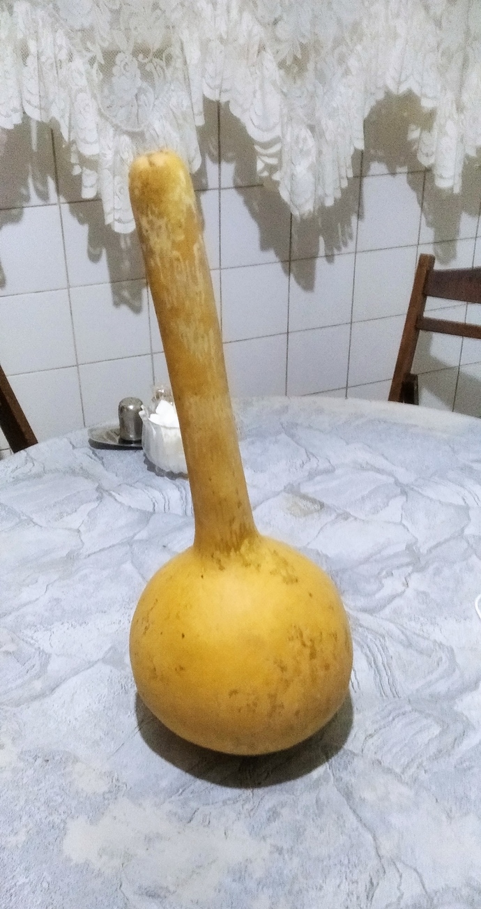 Evinizde ilginç dekoratif eşyalar kullanmayı severmisiniz 🍁?