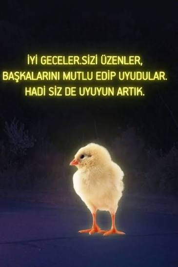 İyi geceler mesajınızı bugün de aldınız mı?