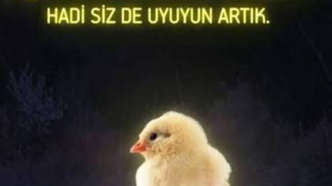 İyi geceler mesajınızı bugün de aldınız mı?