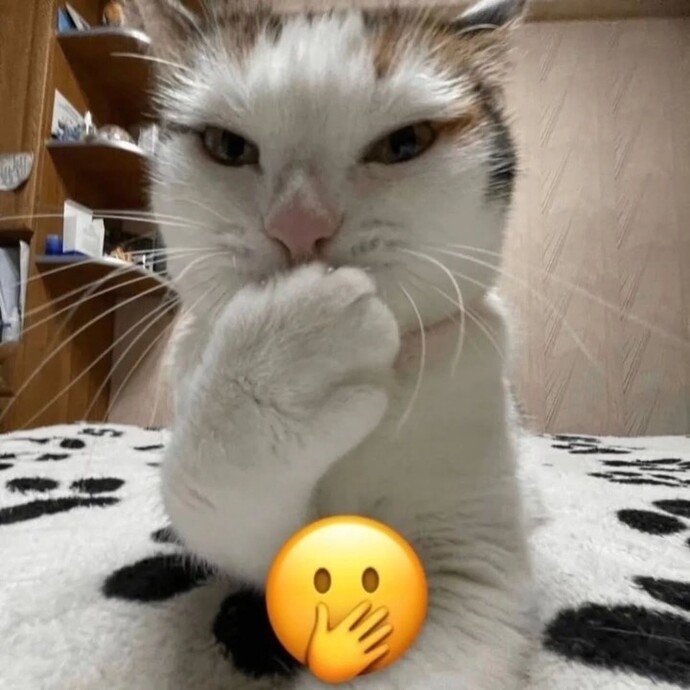 Hey sen utangaç mısın?