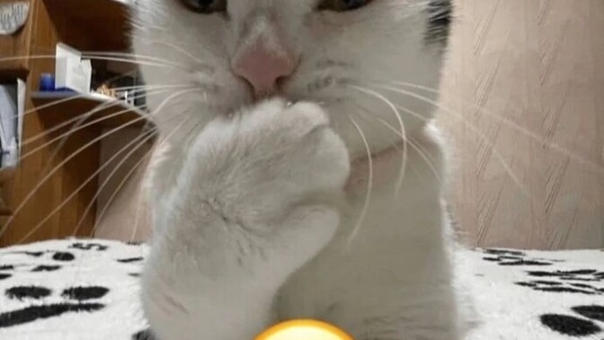 Hey sen utangaç mısın?