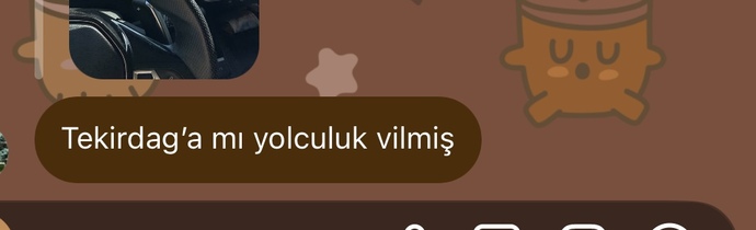 Tekirdağda olmuştu kaza arkadaşlar da ondan..