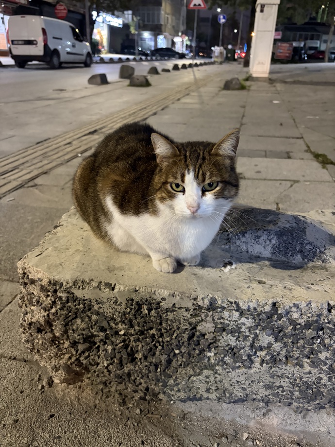 Sizce de iphone dan önce daha mutlu değil miydik?