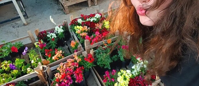 Çiçek seralarını sever misiniz?