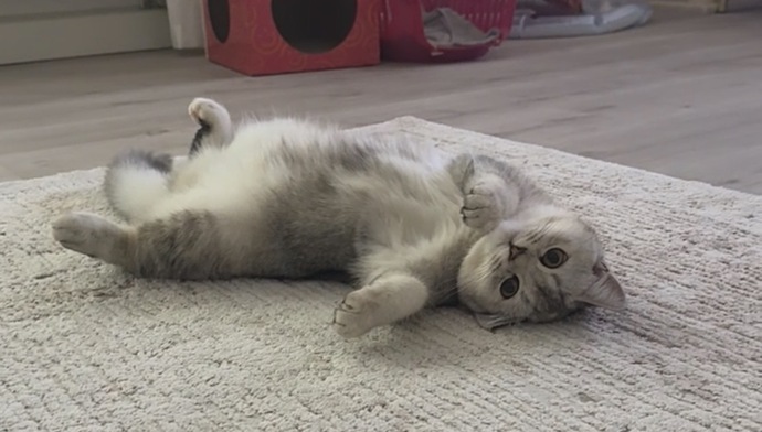 Son zamanlarda hoşunuza giden bir foto atın bakalım?