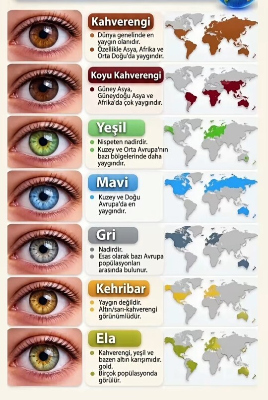 Sizin gözleriniz hangi renk, merak ettim?