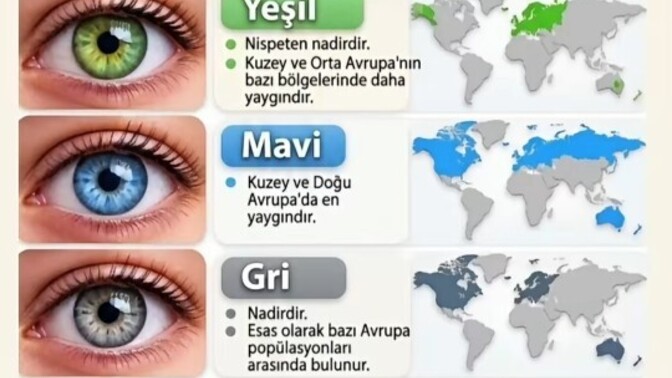 Sizin gözleriniz hangi renk, merak ettim?