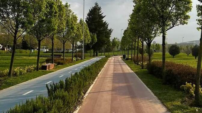 Sabah yürüyüşünü, sever misiniz?