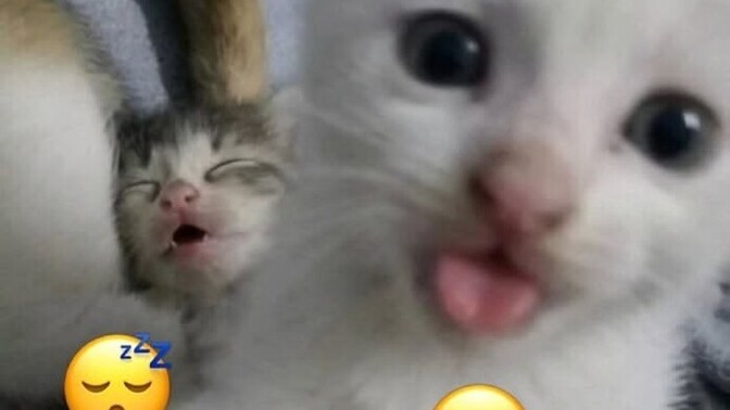 Zıt huylara sahip çiftlerde aşkın gücü sınanır mı?