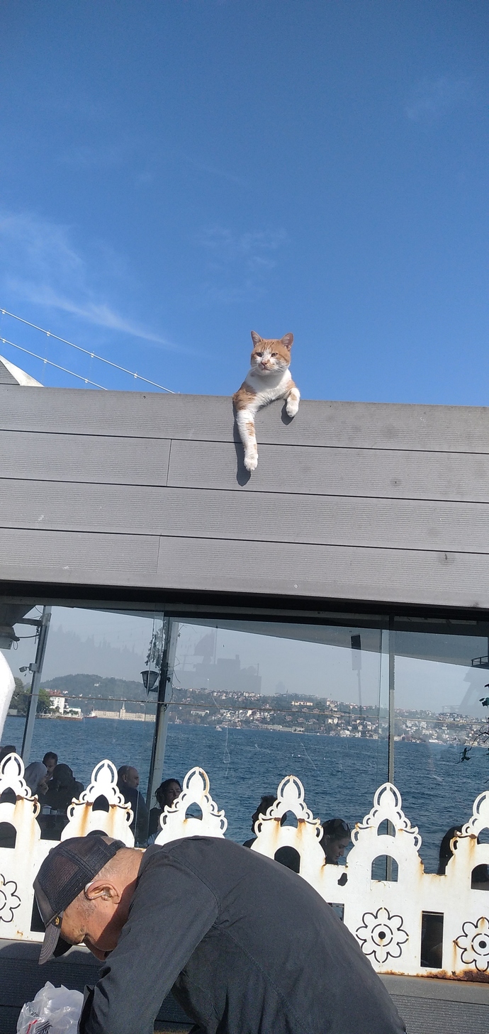Hayatı şöyle yokuş aşağı salasınız geliyor mu 😂?
