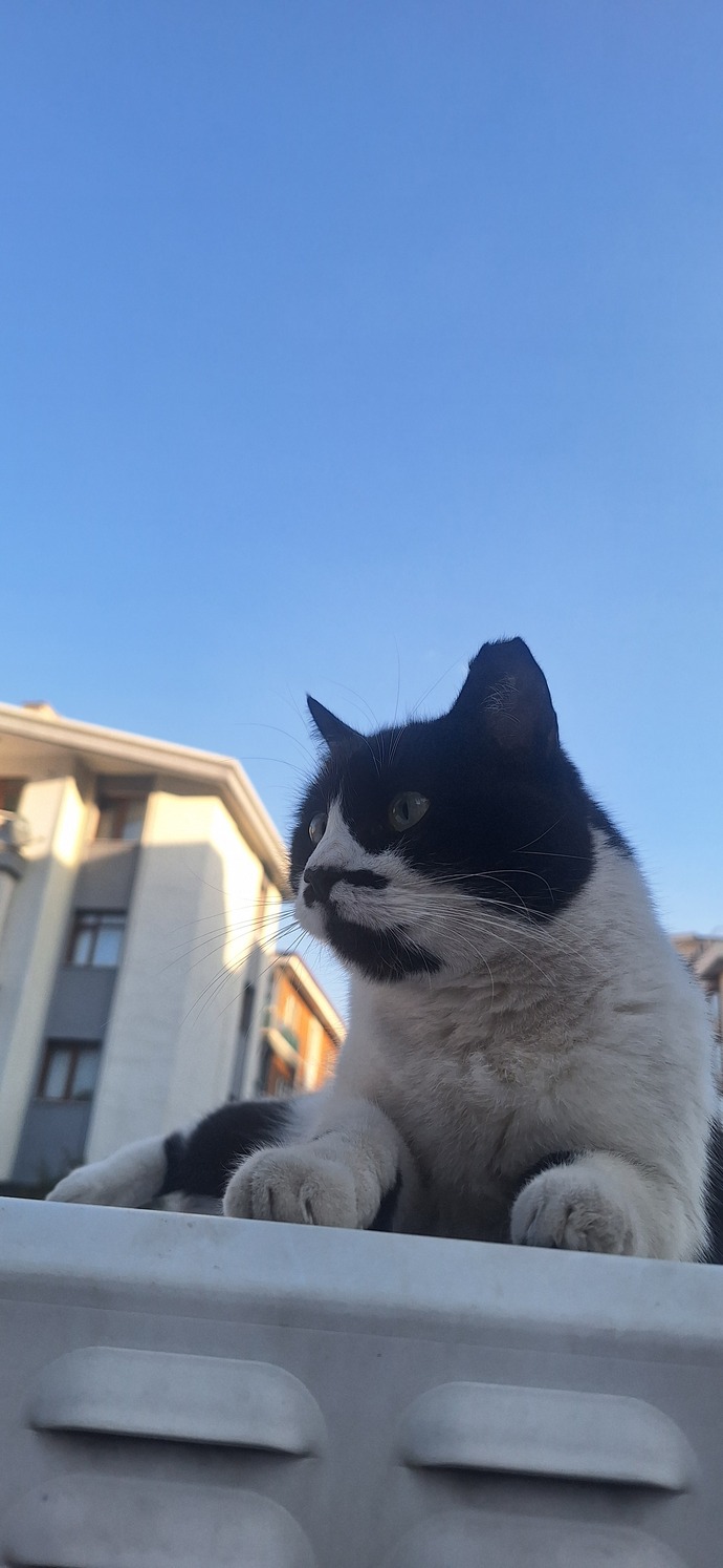 Hayatı şöyle yokuş aşağı salasınız geliyor mu 😂?