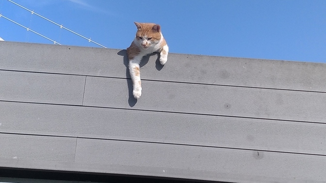 Hayatı şöyle yokuş aşağı salasınız geliyor mu 😂?