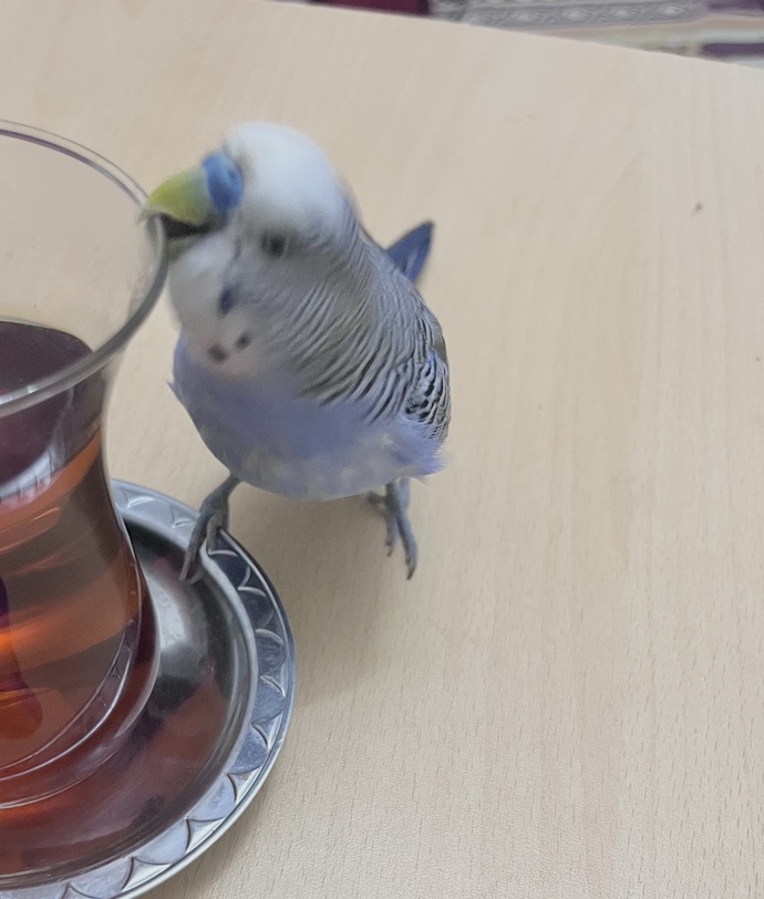 Günaydın çaylar içildi mi?