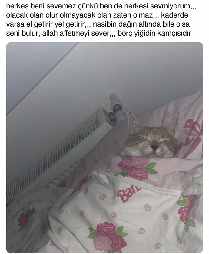 Şu an ki hissel düşünceleriniz?