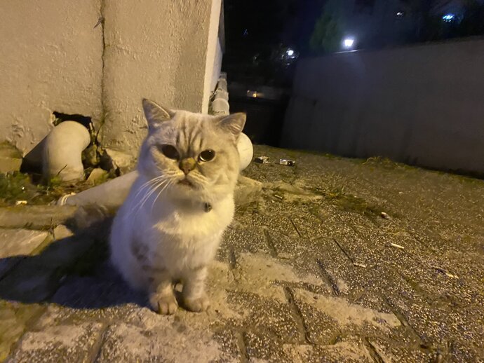 Sizi özlemek için bir sebep var mı?