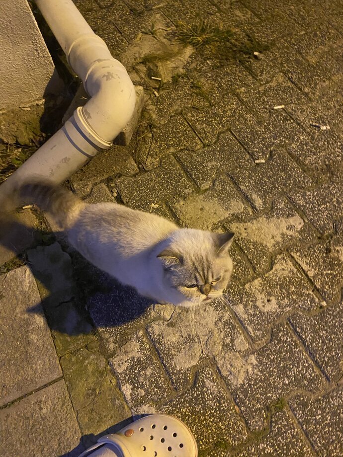 Sizi özlemek için bir sebep var mı?