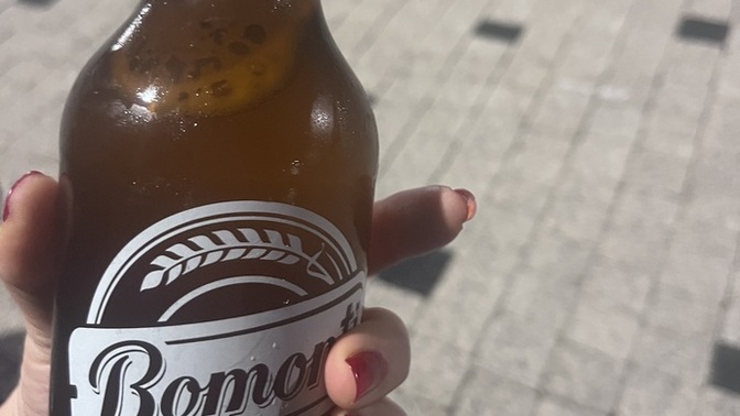 Bira içer misiniz?