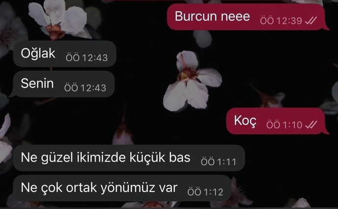 İlişkilerinizde, burç uyumuna dikkat eder misiniz?