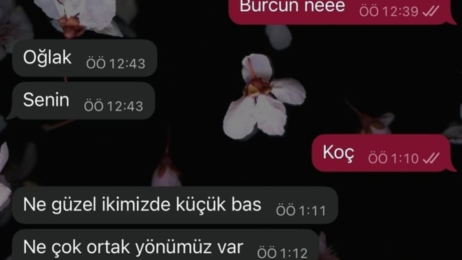 İlişkilerinizde, burç uyumuna dikkat eder misiniz?