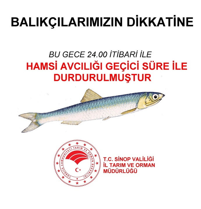 Spor yapmaya fazla vaktim yokken yürüyüşle sarkmadan nasıl kilo verebilirim?