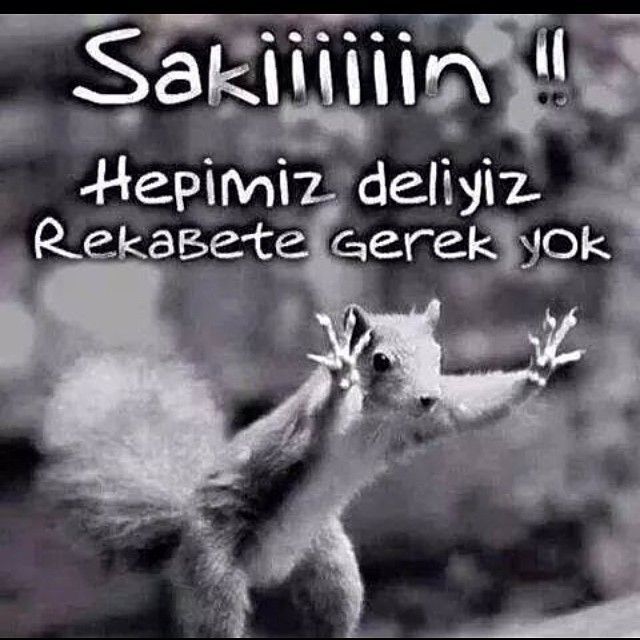Sakinim.