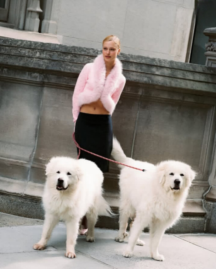 Böyle iri bir köpeğe sahip olmak ister miydiniz?