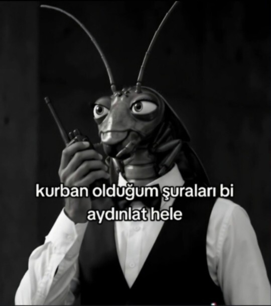 Hamam böceği videosu hiç izledin mi?