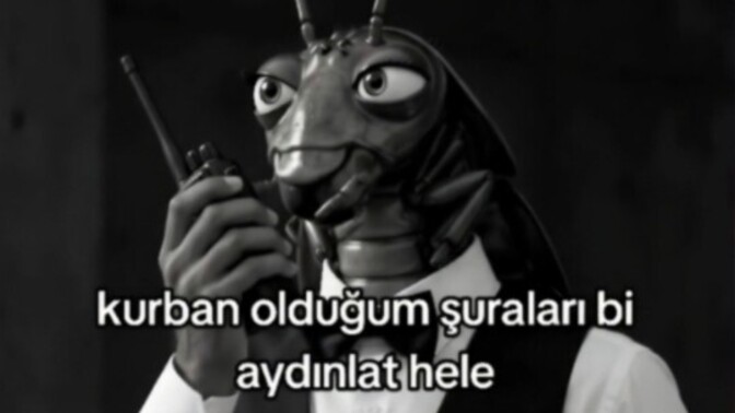 Hamam böceği videosu hiç izledin mi?